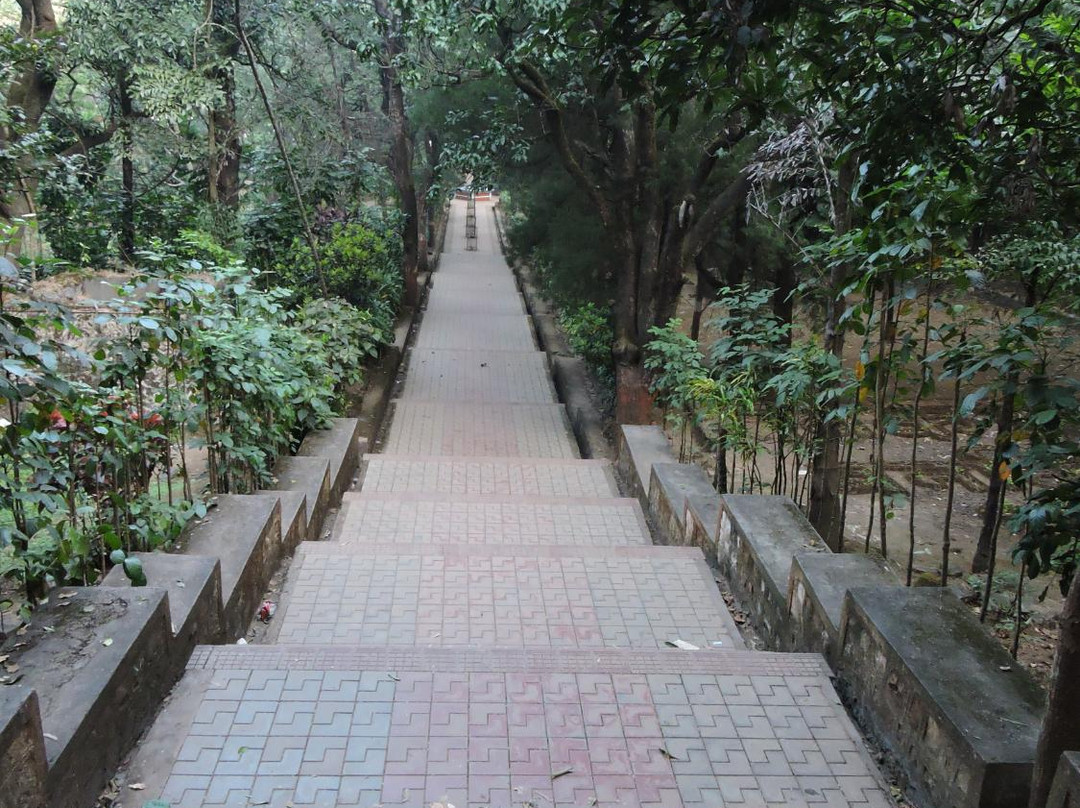 Botanical Gardens景点图片