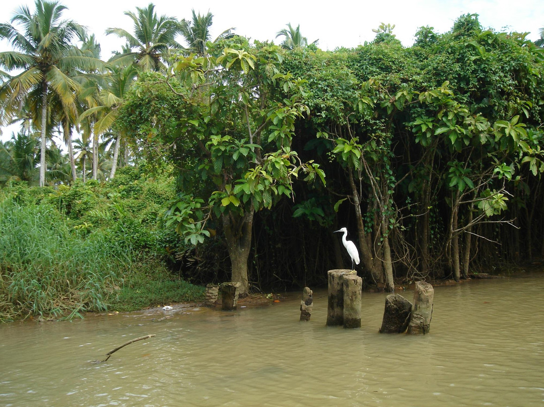 Karamana River景点图片