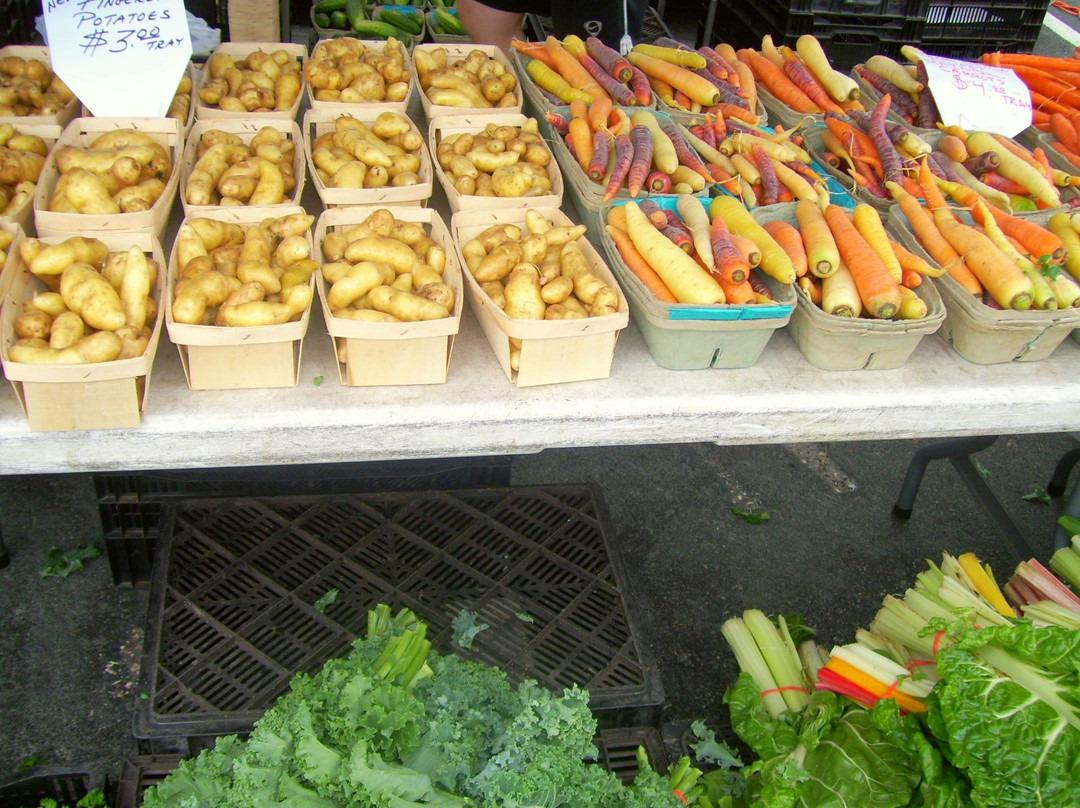 Bloomington Farmer's Market-布卢明顿必去景点