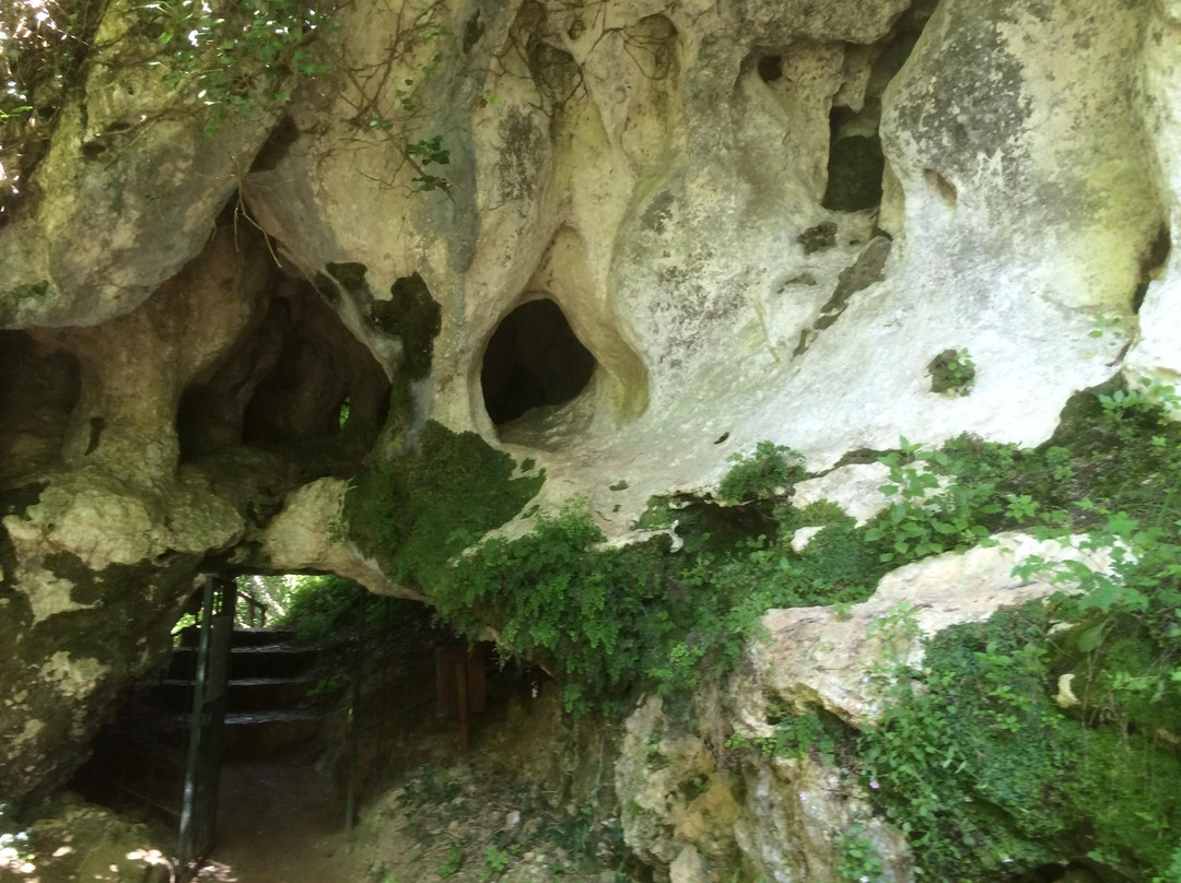 Cueva Del Buxu景点图片