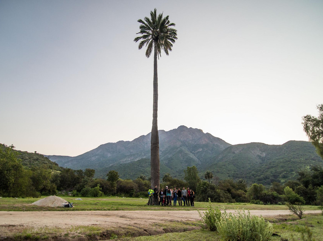 Trekking Nocturno Santiago-圣地亚哥必去景点