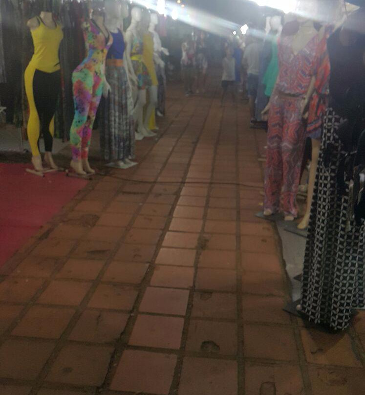 Feira do Sol-戈亚尼亚必去景点