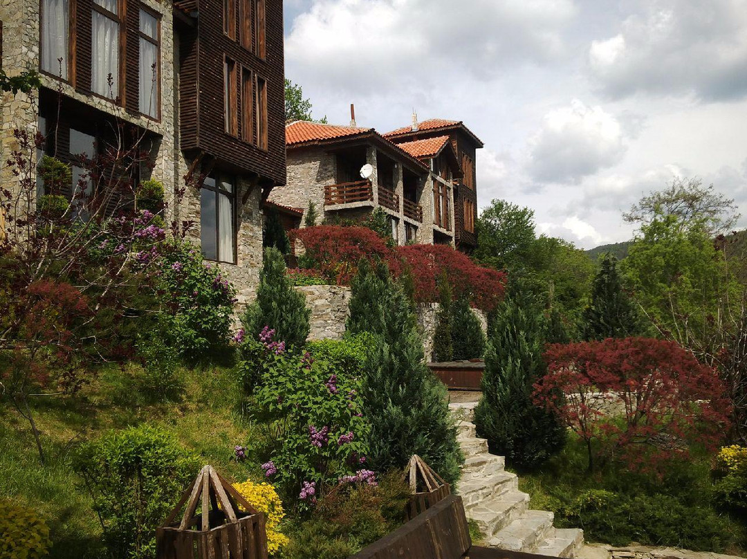 Art Dolen Villa