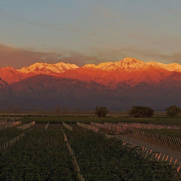 5th Avenue Vinoteca-Malargue必去景点