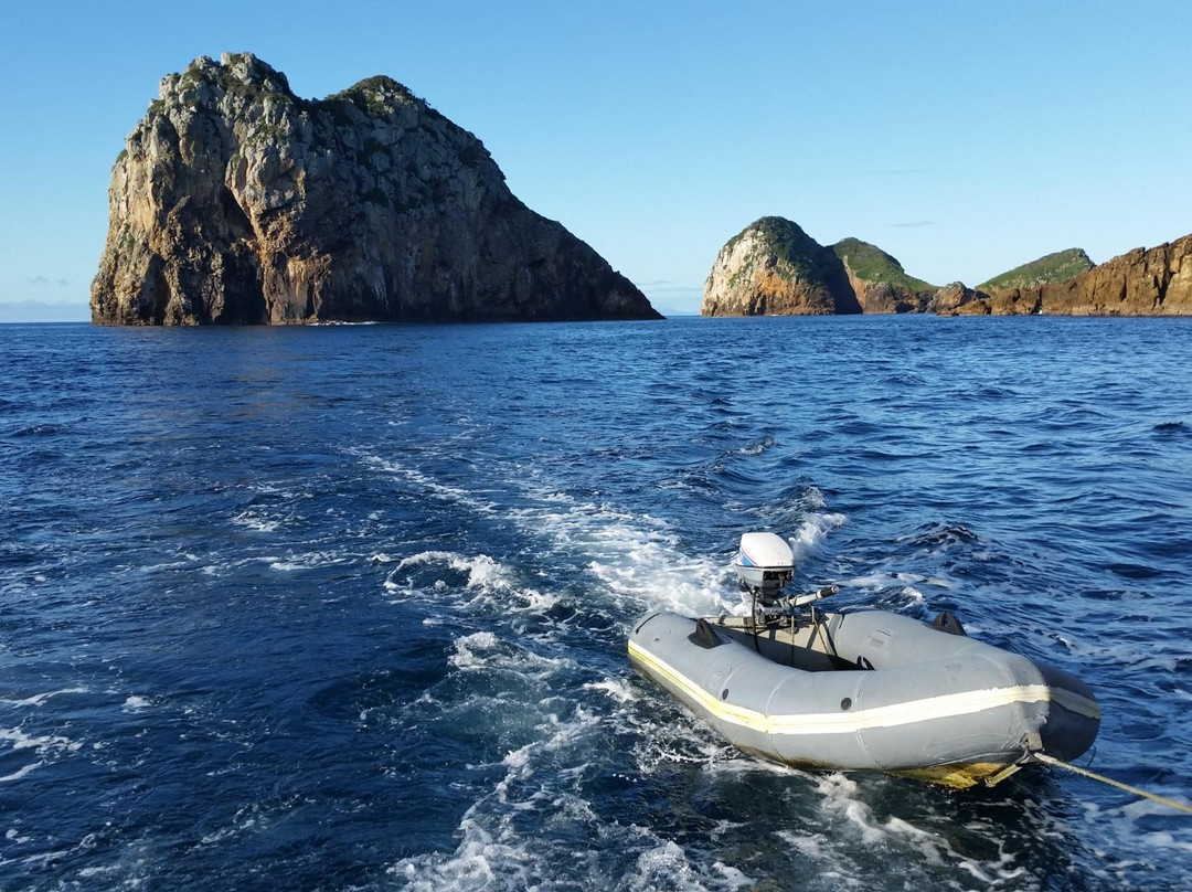 Oceanblue Adventures-Tutukaka必去景点