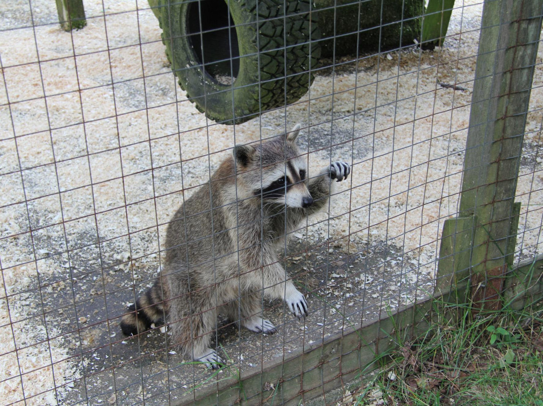 Two Rivers Wildlife Park-Huntingtion必去景点