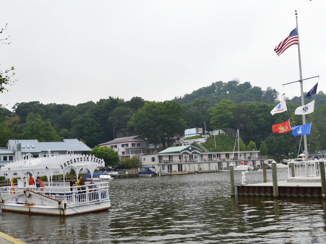 Saugatuck Chain Ferry景点图片