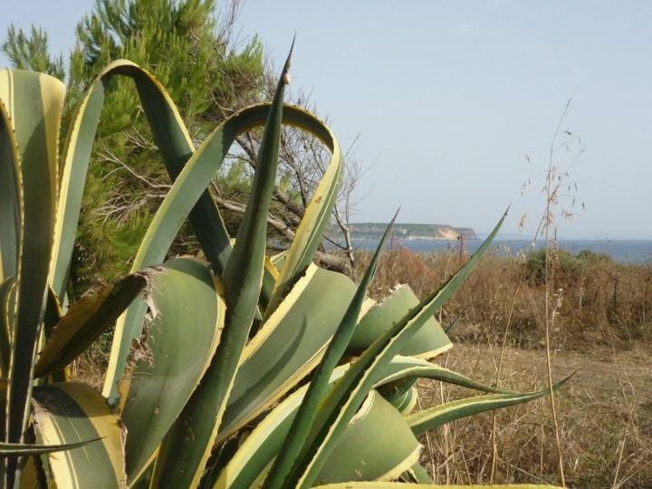 Funtana Meiga Beach-卡布拉斯必去景点