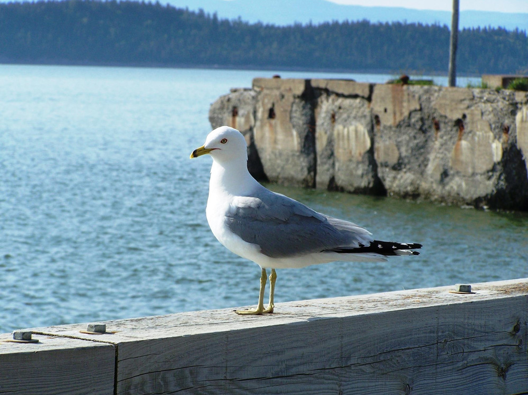 Quais de Kamouraska-Kamouraska必去景点