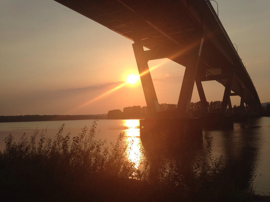 Matsqui Trail Regional Park景点图片