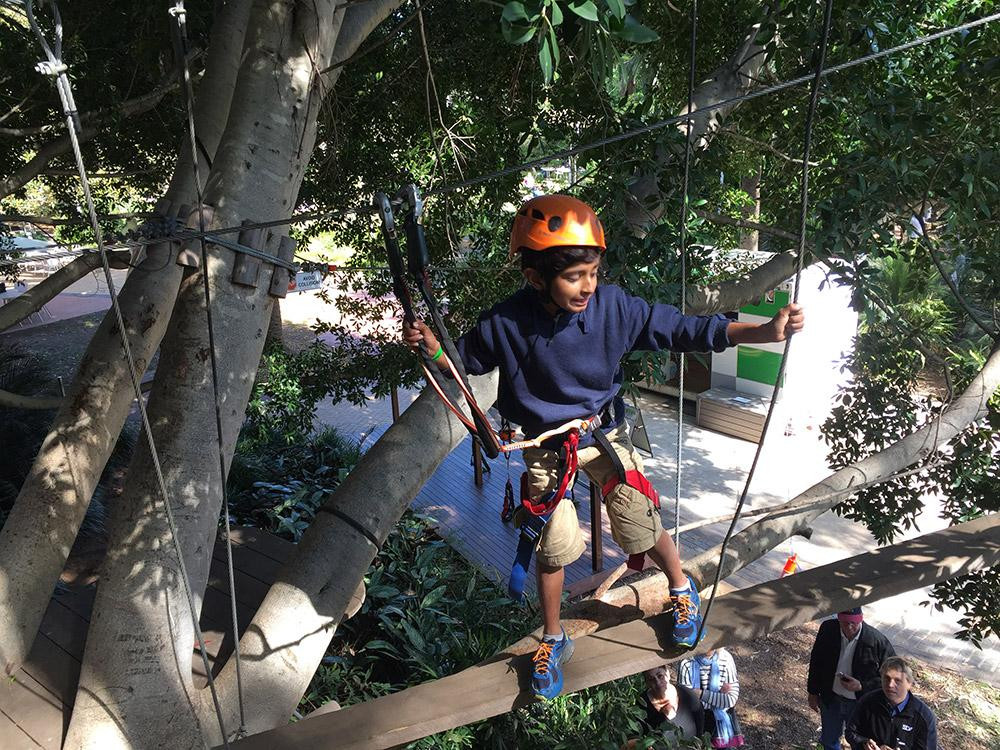 Urban Jungle Adventure Park景点图片
