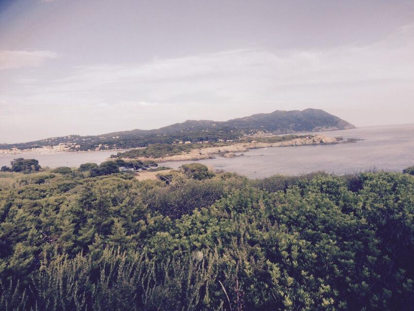 Aquarium de l'Institut océanographique Paul Ricard-Six-Fours-les-Plages必去景点