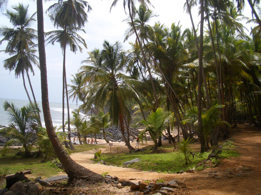 La Hulotte Day Tours-Kourou必去景点