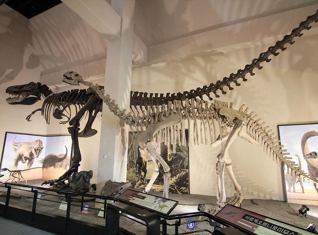Goseong Dinosaur Museum-高城郡必去景点