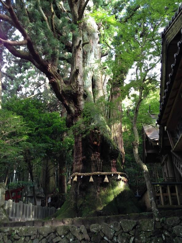 Ogosha Shrine-由布市必去景点