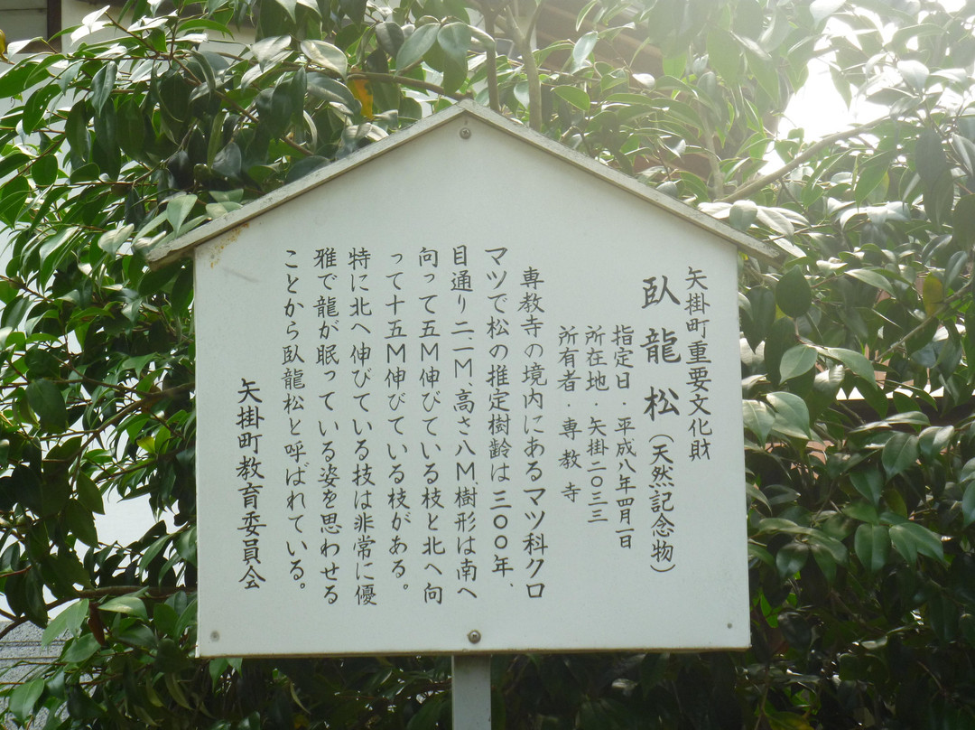 Senkyo-ji Temple-矢挂町必去景点
