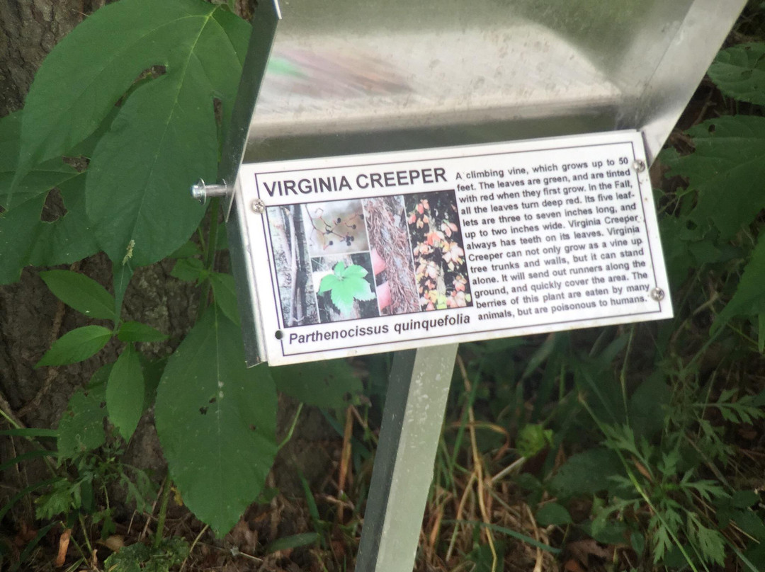The Valle Crucis Community Park景点图片