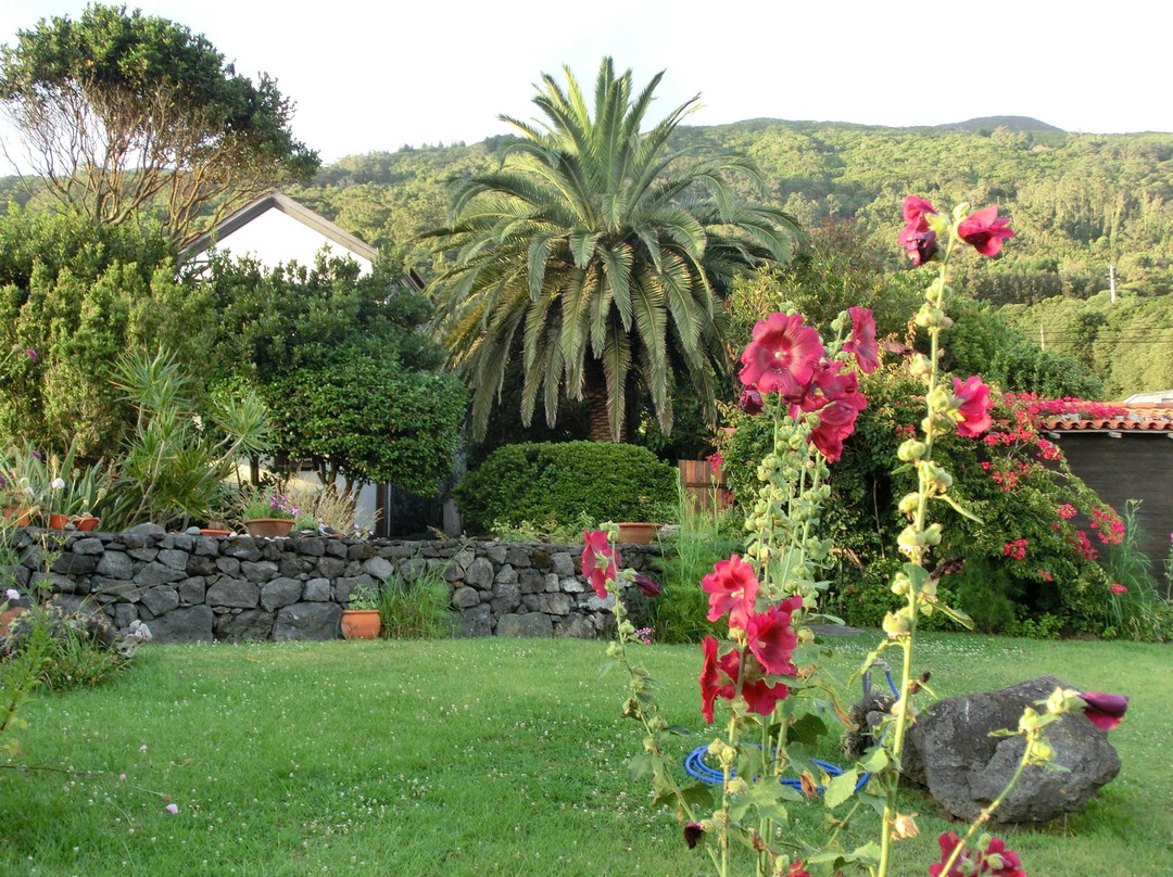 Jardim do Triangulo - Alojamento local