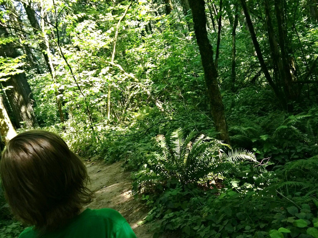 Mount Talbert Nature Park-Clackamas必去景点