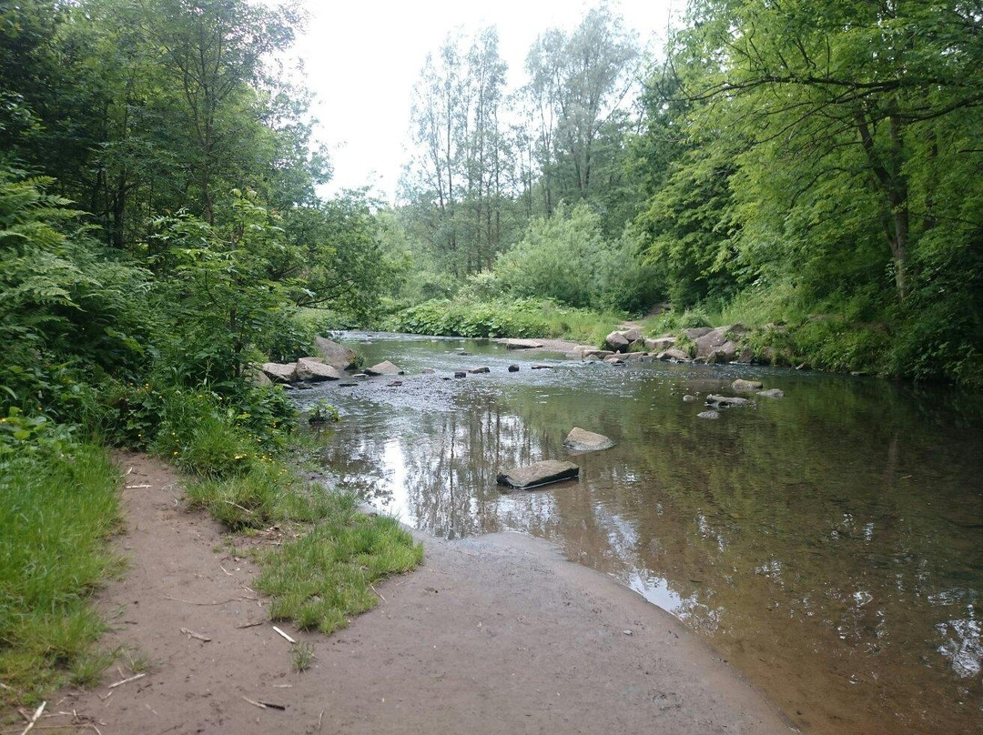 Daisy Nook Country Park景点图片