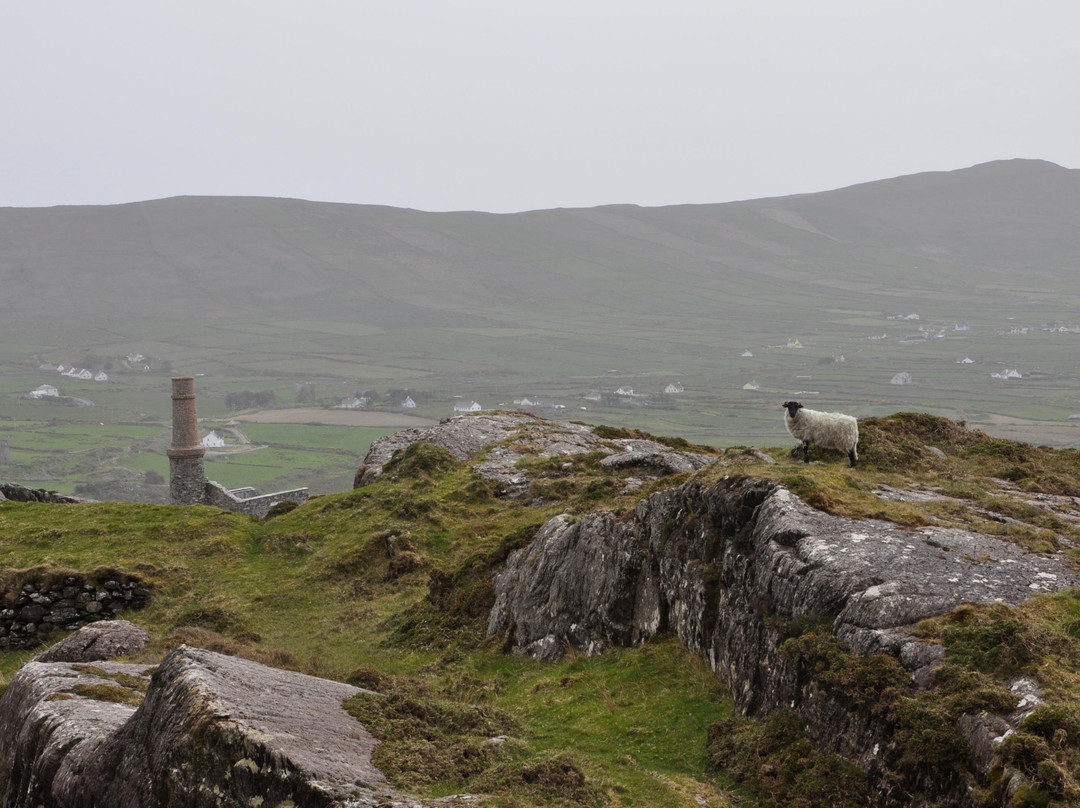 Allihies Copper Mine Trail-Allihies必去景点