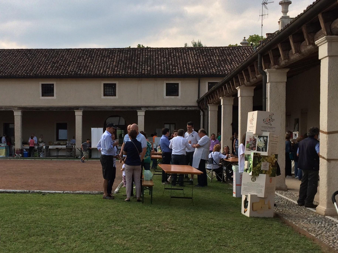 Villa Cordellina Lombardi景点图片