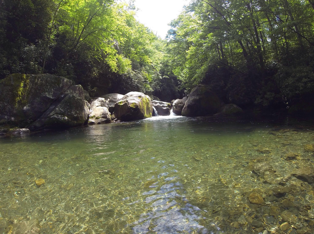 Midnight Hole Falls-大雾山国家公园必去景点