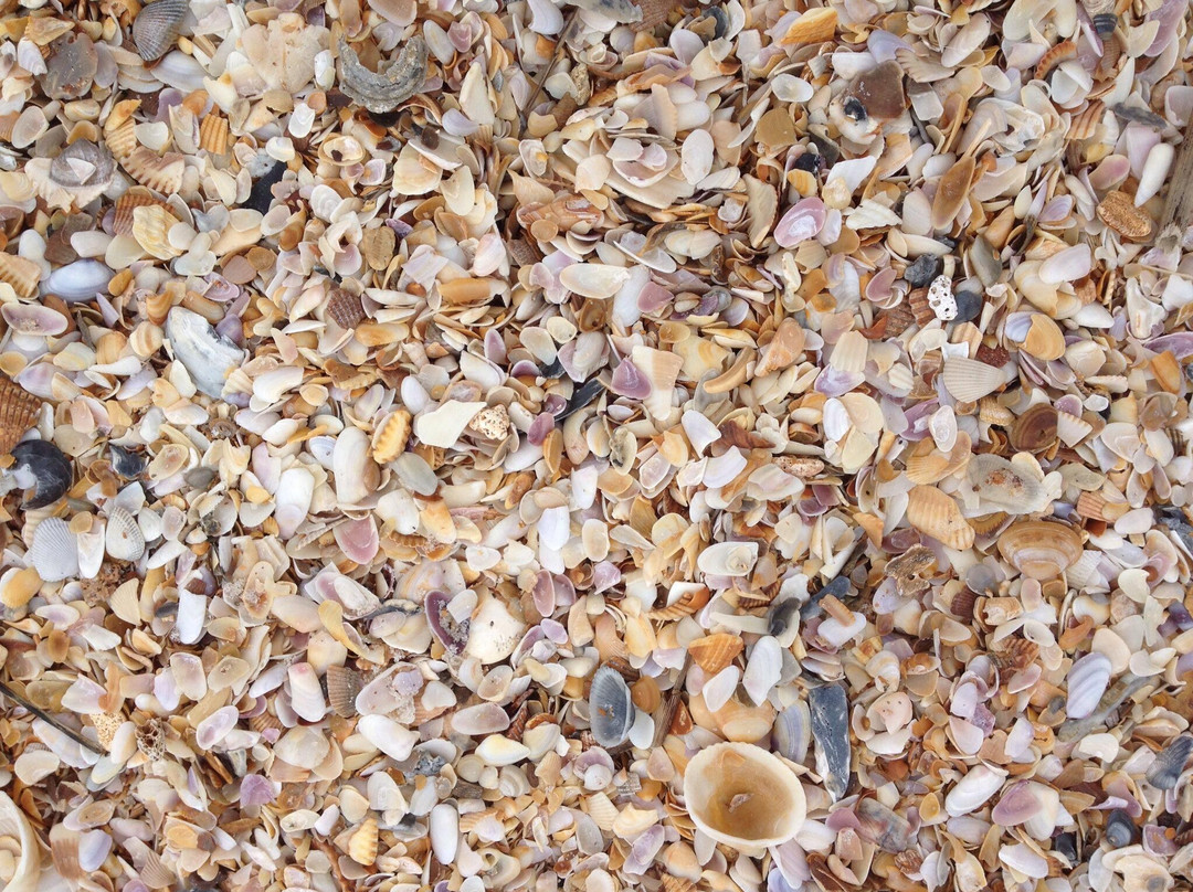 Vilano Beach-Vilano Beach必去景点