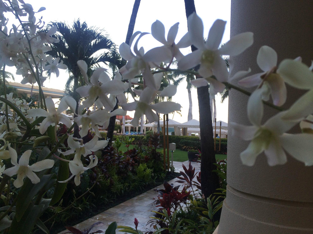 The Spa at Four Seasons Resort Maui-维雷亚必去景点