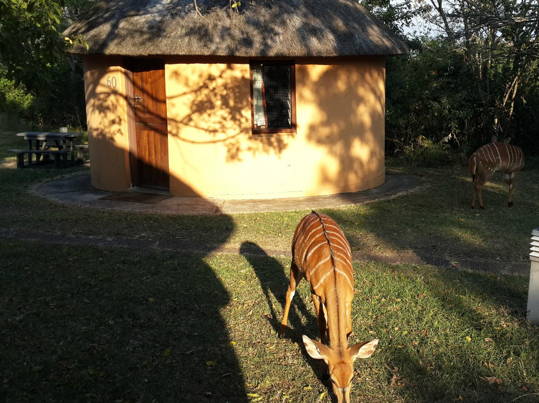 Hilltop Resort Rondavels