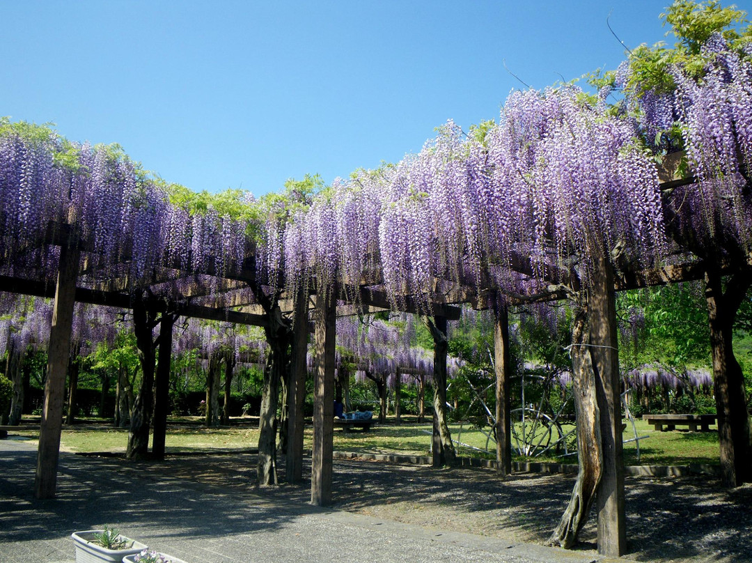 Omishima Fuji Park