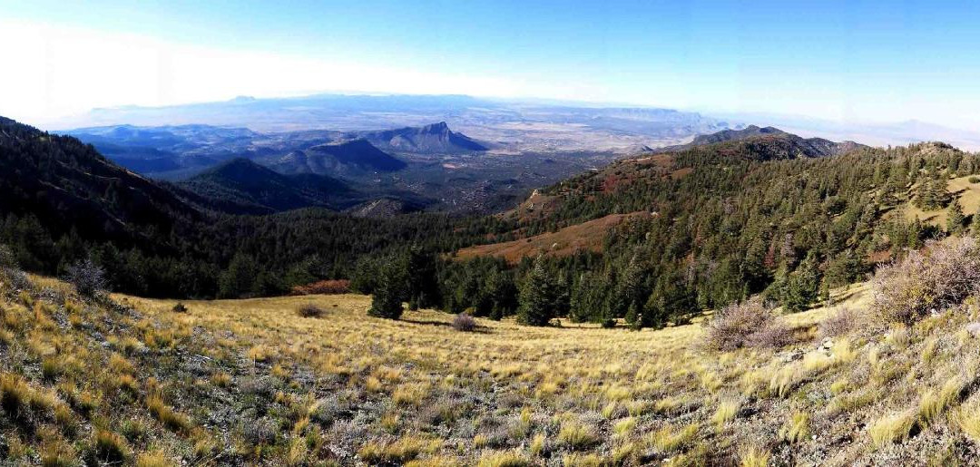 Magdalena Hall Hotel主图