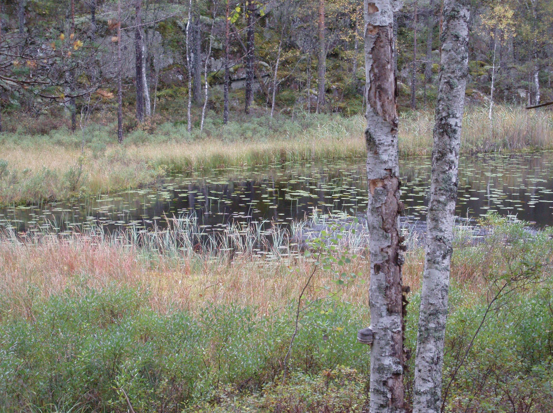 Bjornnasets naturreservat-Hultsfred必去景点