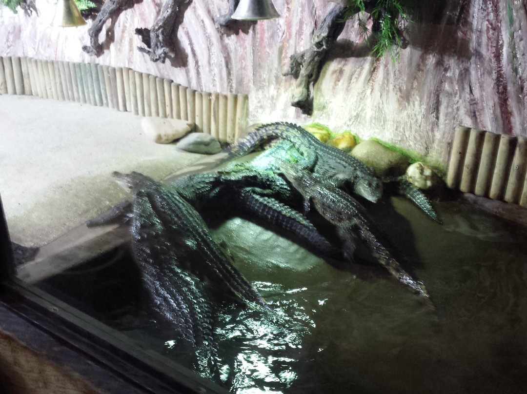 Zoo de Mescoules景点图片