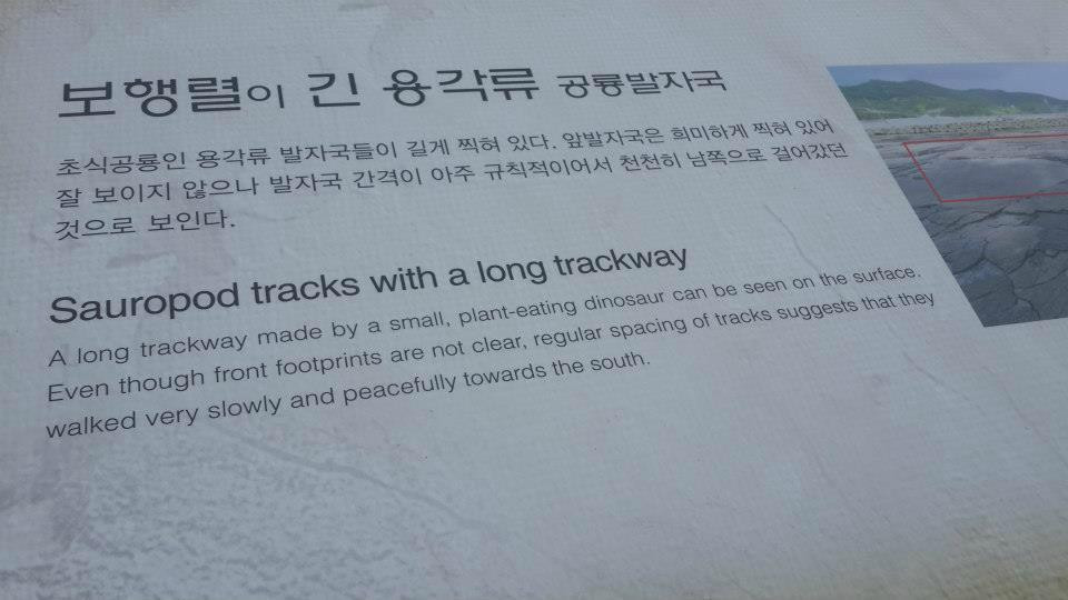 Goseong Dinosaur Museum-高城郡必去景点