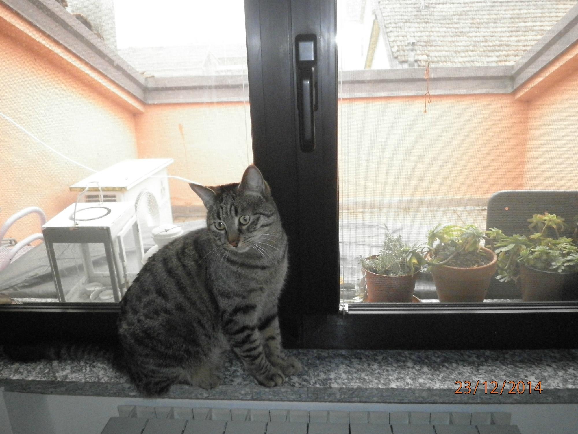 Bed and Breakfast Anna-客卧