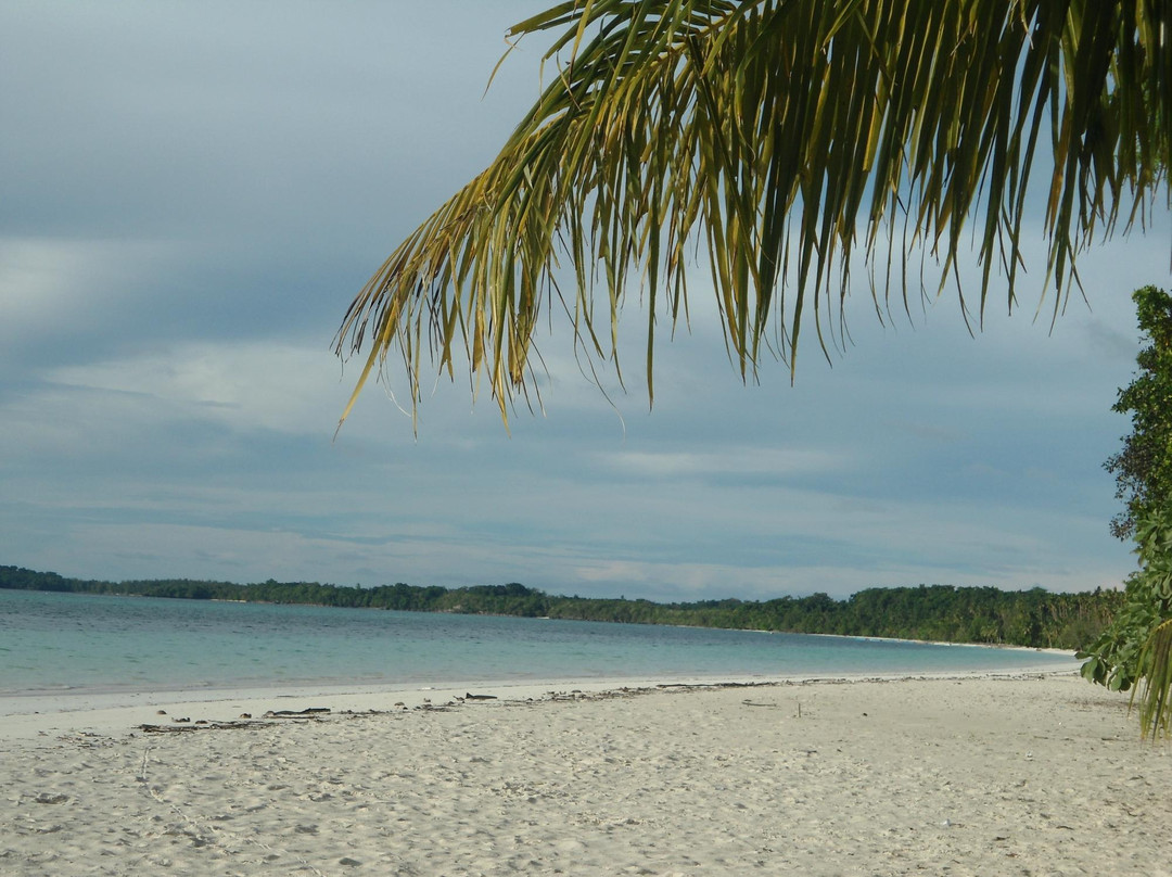 Pasir Panjang Beach景点图片