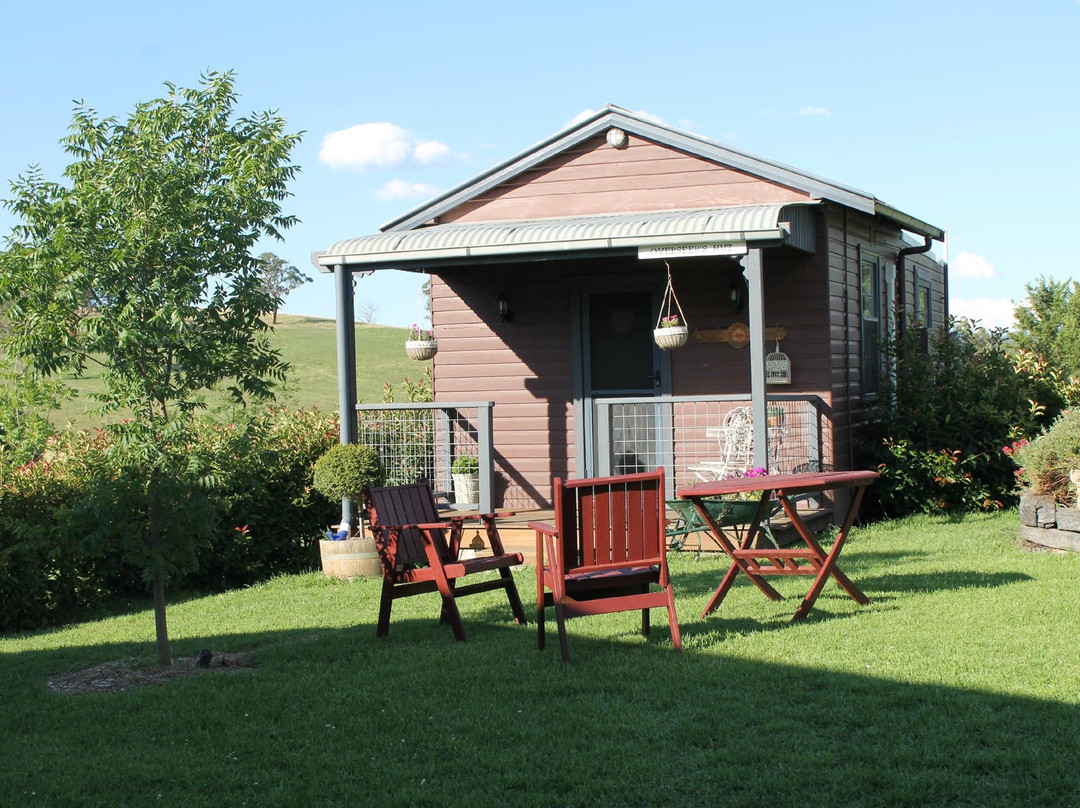 Dag Sheep Station