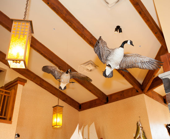 德卢斯酒店住宿-Canal Park Lodge