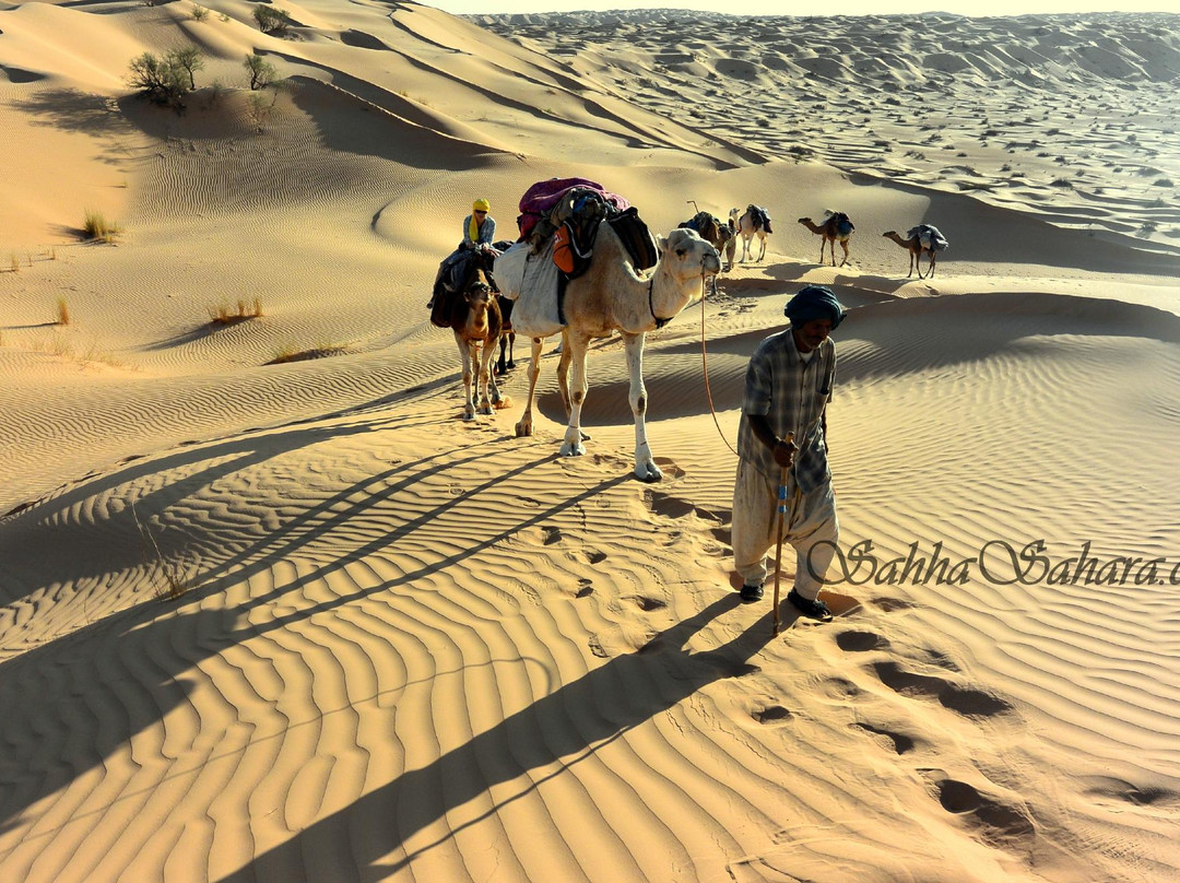 Sahha Sahara-杜兹必去景点