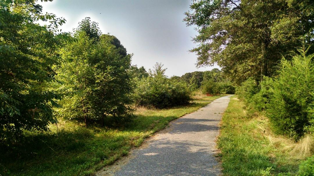 Cox Hall Creek Wildlife Management Area景点图片