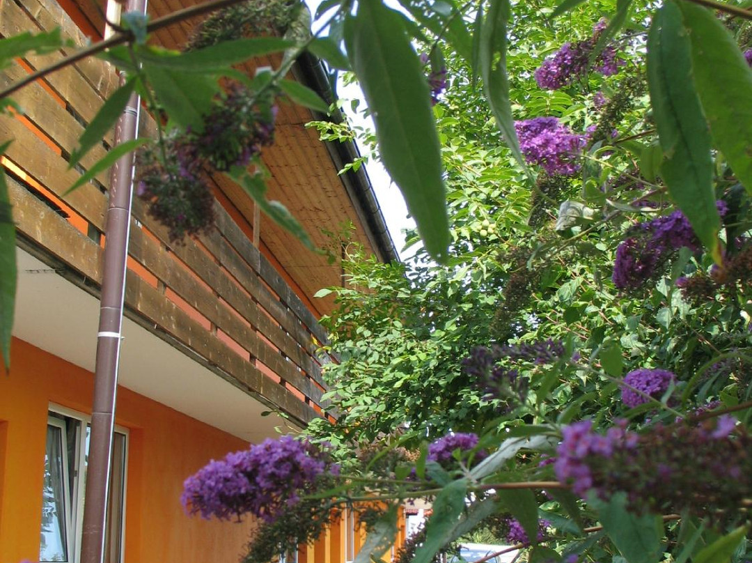 卡夫特酒店主图