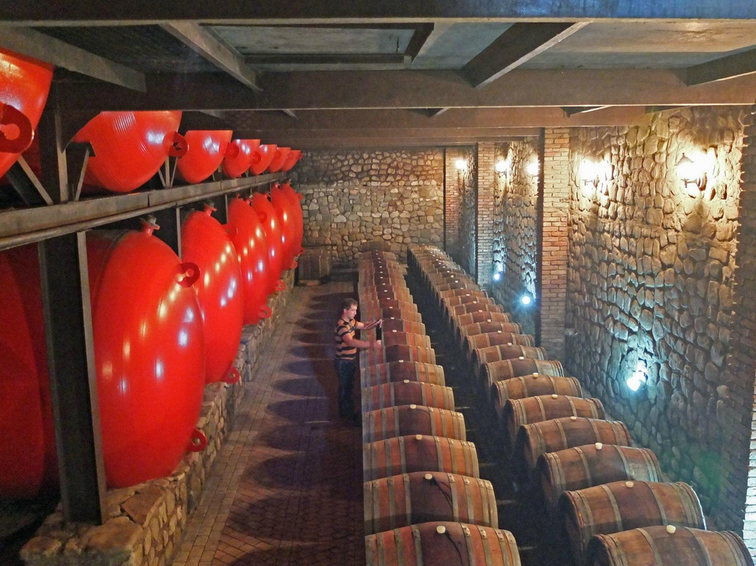 Shumi Winery-Tsinandali必去景点