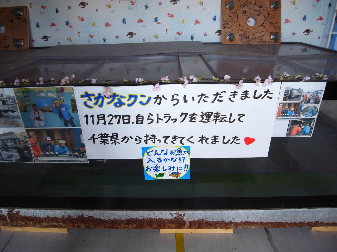 Moguranpia Machinaka Aquarium-久慈市必去景点