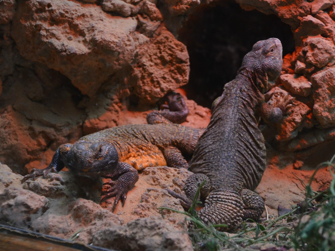 Exotic Gardens of Bouknadel-Bouknadel必去景点