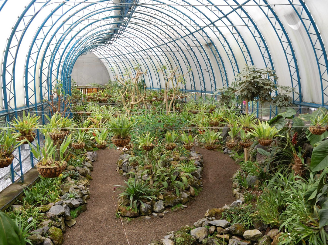 Jardín Botánico de Quito景点图片