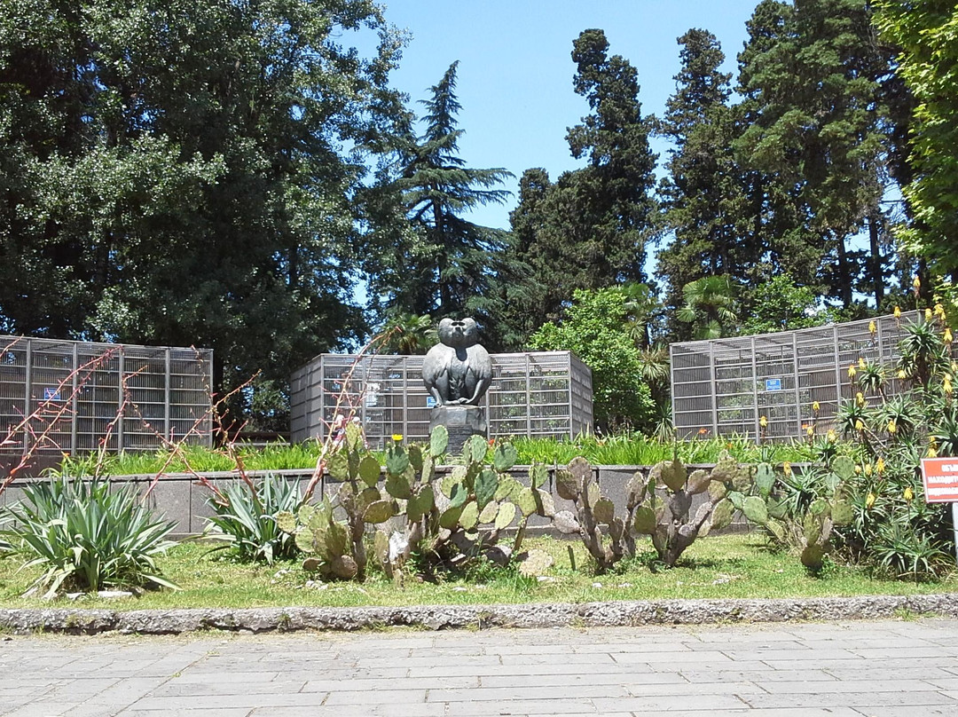 Sukhumi Monkey Nursery-Sukhumi必去景点