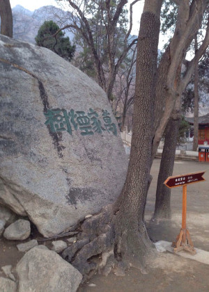华山玉泉院景点图片