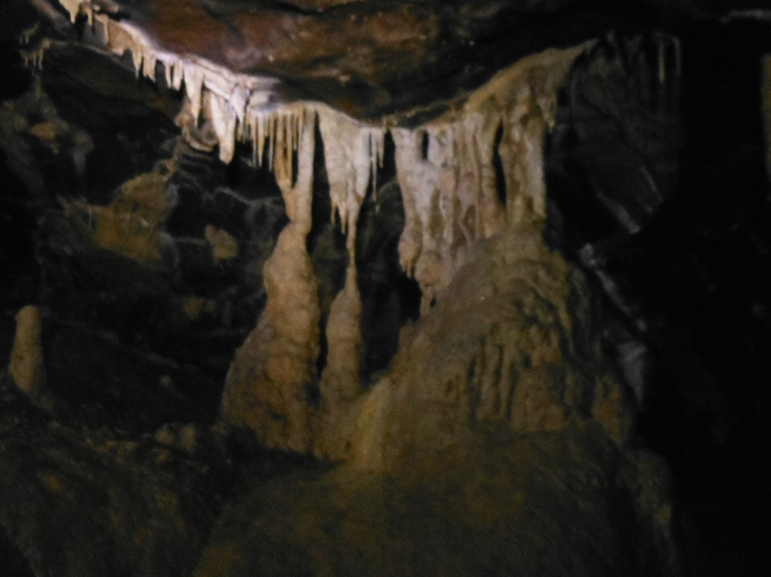 Grotte de Balme景点图片