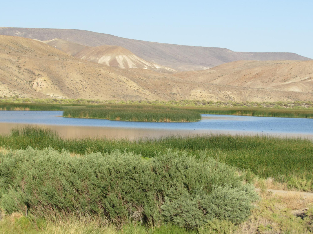 Sheldon National Wildlife Refuge-Denio必去景点